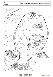 Balon Balığı boyama sayfaları